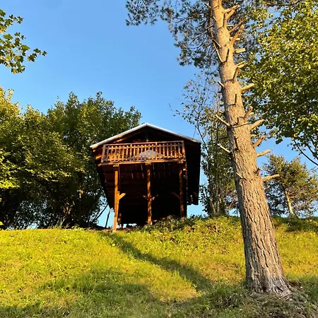 Campsite In Natura *